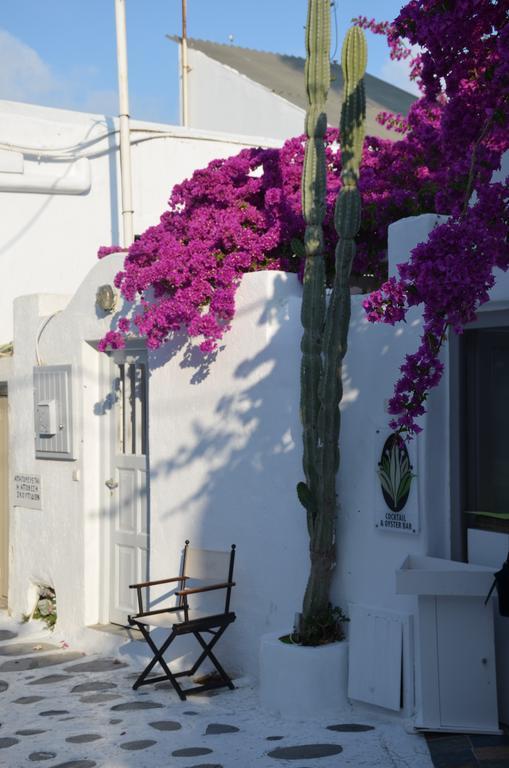 Appartement White And Grey Chora à Mykonos Town Extérieur photo