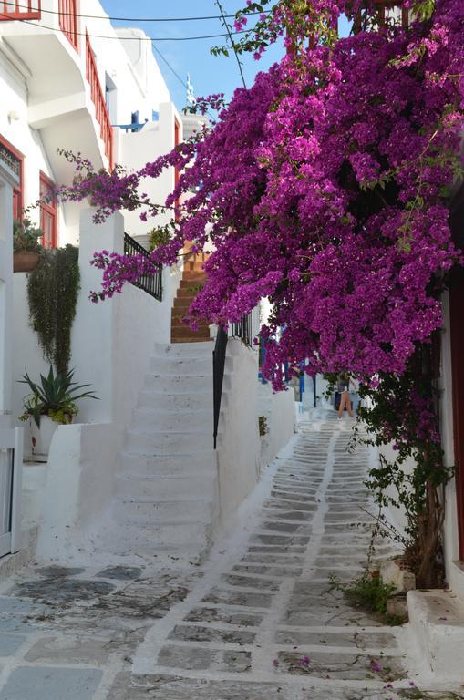 Appartement White And Grey Chora à Mykonos Town Extérieur photo